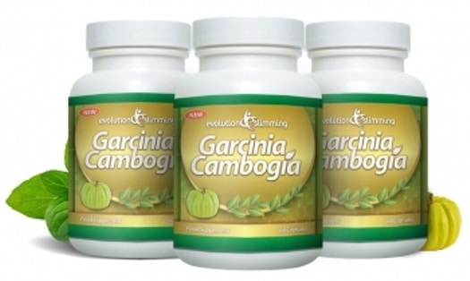 Garcinia Cambogia un potente quema grasa natural1