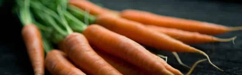 Zanahorias para adelgazar